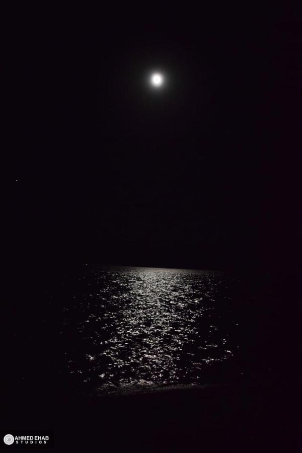 ホテルAbdo Caribbean Camp Nuweiba` エクステリア 写真
