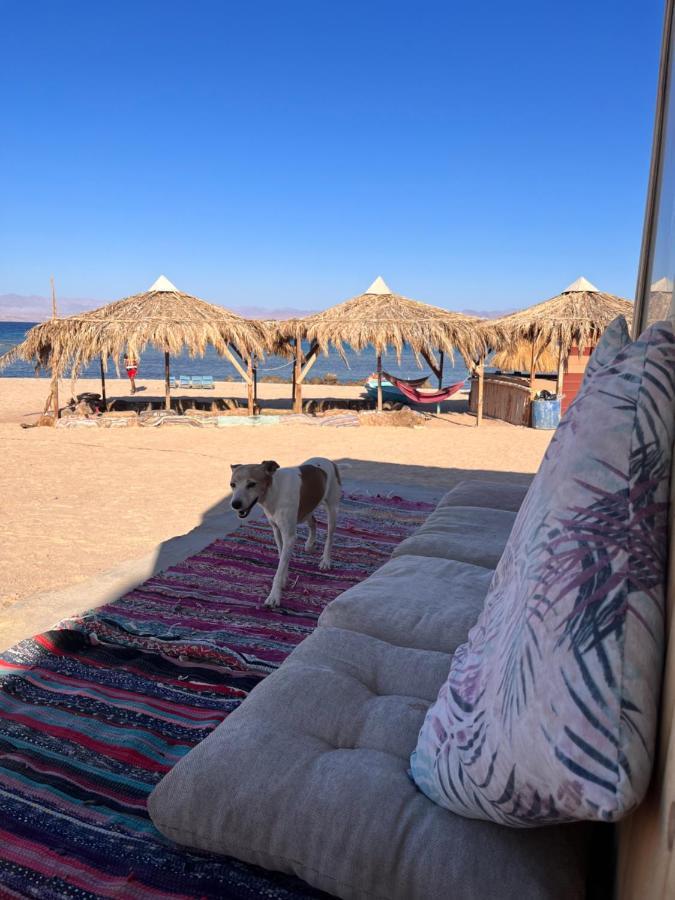 ホテルAbdo Caribbean Camp Nuweiba` エクステリア 写真
